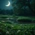 Aproveite o Poder do Húmus na Lua Crescente: Dicas Essenciais