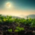 Aprenda a Sincronizar o Ciclo da Lua com o Clima da Sua Região para Plantio