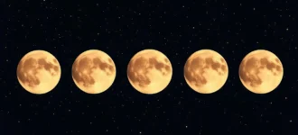 Planejamento Lunar Mês a Mês: Organize sua Horta o Ano Todo
