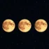 Planejamento Lunar Mês a Mês: Organize sua Horta o Ano Todo