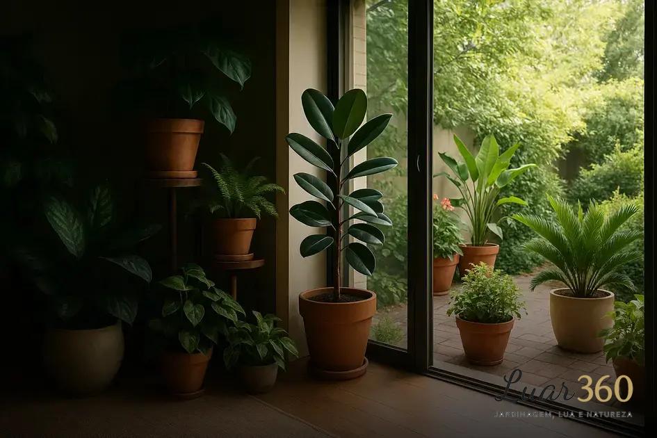 Como escolher plantas ornamentais para diferentes ambientes