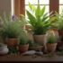 plantas de proteção espiritual: segredos que você precisa conhecer