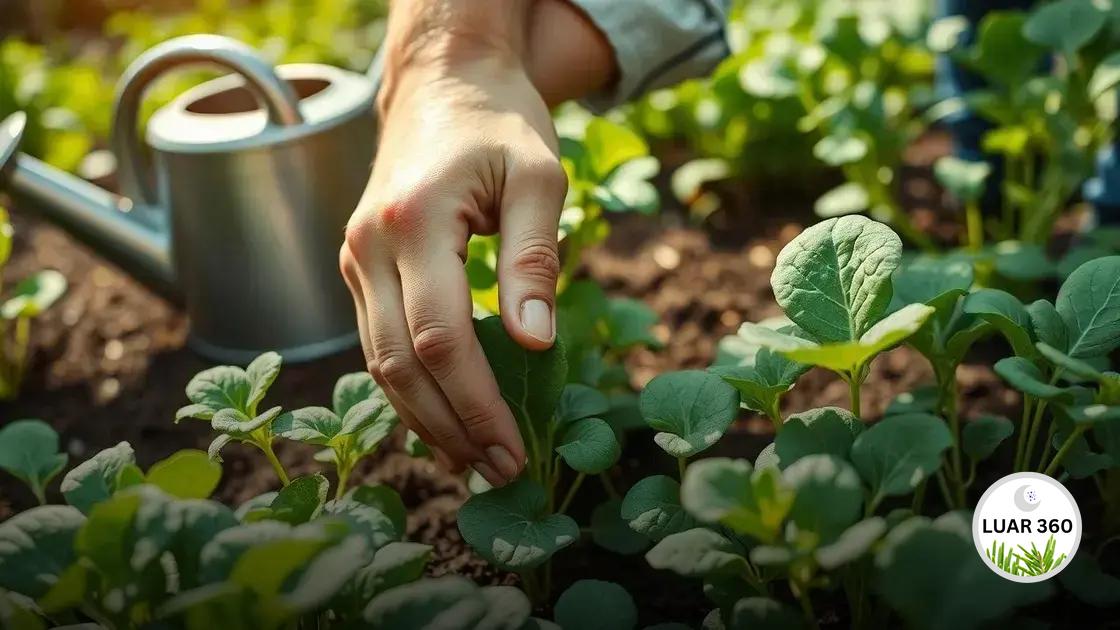 Cuidados essenciais durante o crescimento