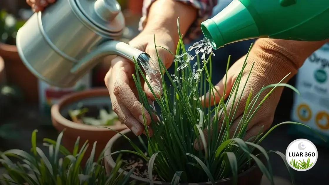 Cuidados essenciais durante o cultivo