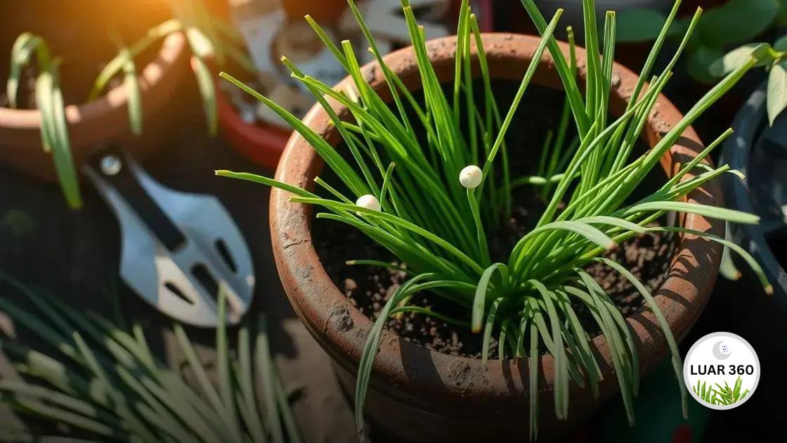Horta com cebolinha no vaso: dicas para cultivar em casa