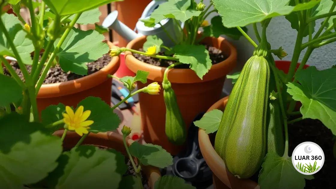 Passo a passo para o cultivo em vasos