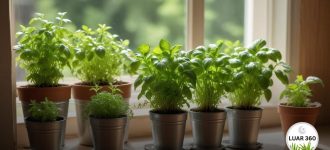 Temperos Frescos o Ano Todo: Para iniciantes